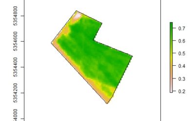 Vegetation indices